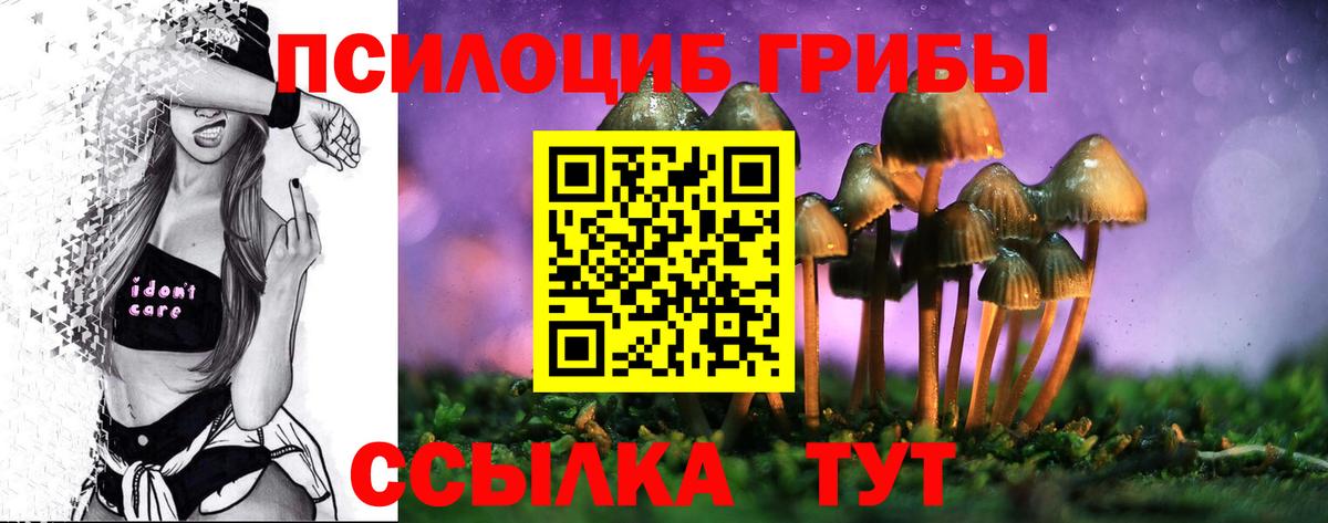 Ялта  Галлюциногенные грибы Psilocybe  Вход с VPN 